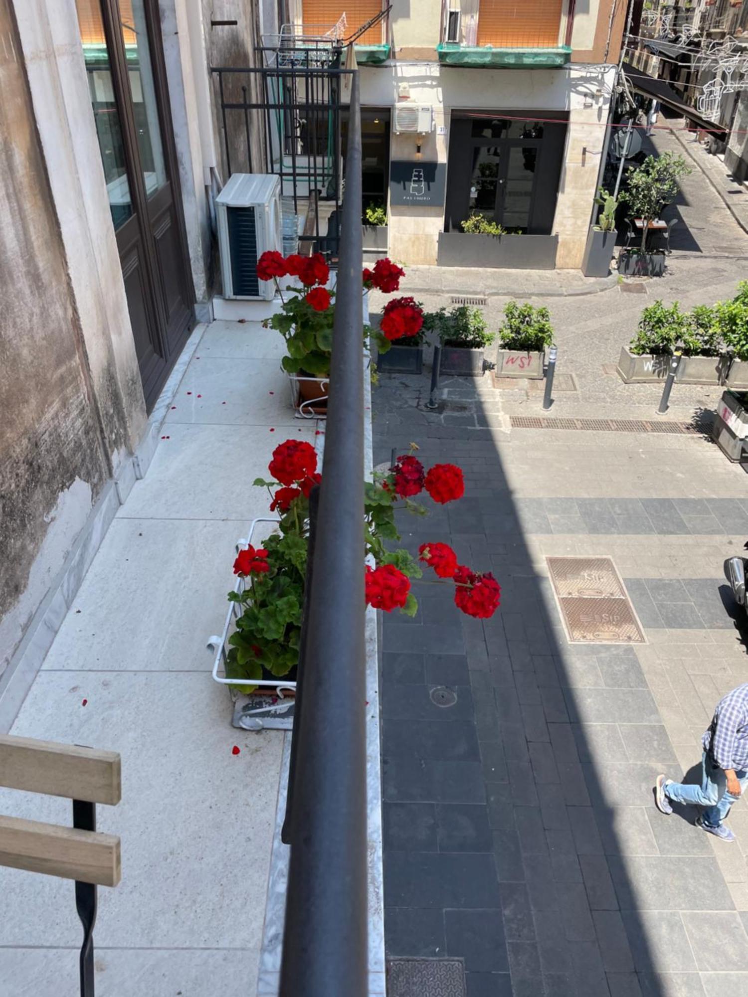 Apartamento Gemmellaro 67 CTA Exterior foto